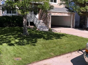 Rhonda S.'s grass cutting service result