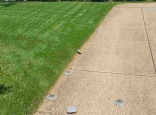 Patricia P.'s lawn care services service result