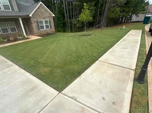 Serge P.'s turf maintenance service result