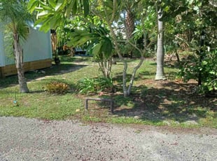 Kimberly S.'s turf care service result