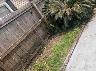 Arthur C.'s Bush Trimming service result