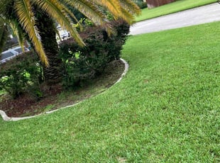 Dan S.'s lawn care service result