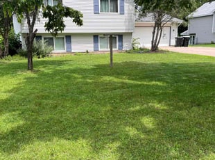 Theresa D.'s turf care service result