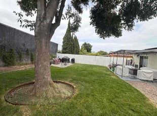 Frank T.'s grass cutting service result