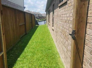 Michael F.'s grass maintenance service result