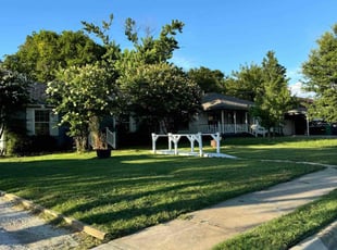 Dana W.'s lawn care services service result