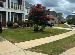 Barbara C.'s turf maintenance service result