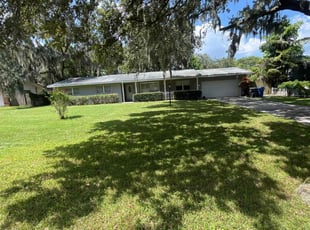 Pedro B.'s lawn care service result