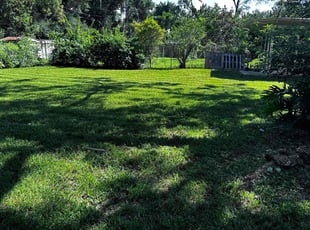 Kytrell J.'s lawn maintenance service result