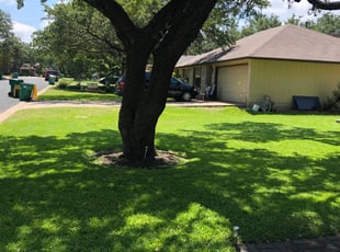 Scott J.'s turf care service result