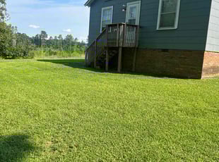 Lenae B.'s lawn care services service result