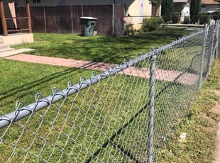 Andrea W.'s grass maintenance service result