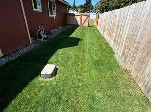 Fred M.'s turf maintenance service result