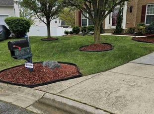 Jackson L.'s turf maintenance service result