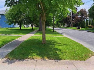 Jonathan S.'s lawn care services service result