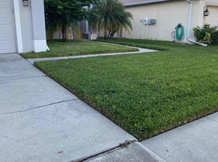 Joshua C.'s lawn maintenance service result