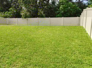Olive E.'s grass maintenance service result