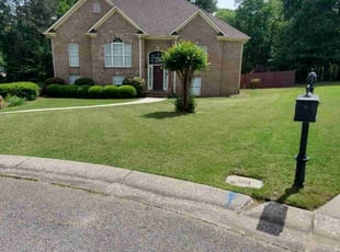 Wade S.'s yard work service result