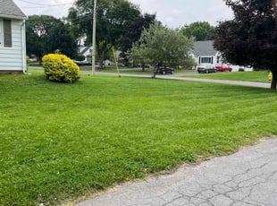 Richard S.'s lawn care service result