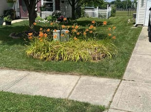 Manuel B.'s turf maintenance service result