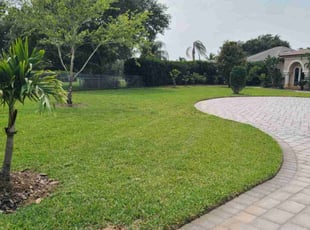 Jovoni B.'s lawn care service result