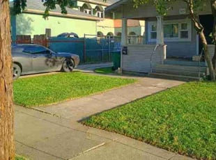 Jack B.'s turf maintenance service result