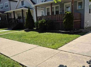 Lucy M.'s grass cutting service result