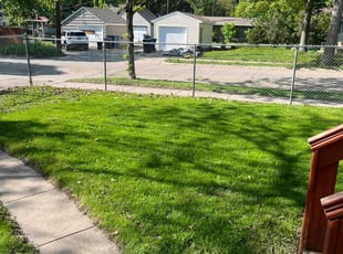 Jasmine C.'s lawn care service result