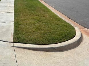 Brian C.'s lawn maintenance service result