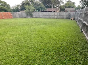 Paul A.'s lawn care service result