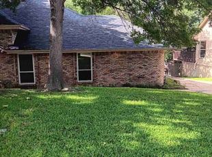 David D.'s turf maintenance service result