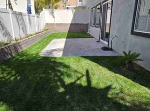 B D.'s turf maintenance service result