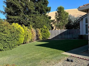 Fred M.'s lawn care services service result