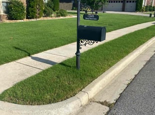 Kendra S.'s turf maintenance service result