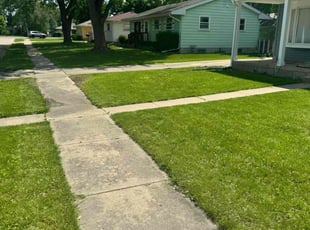 David A.'s lawn service service result