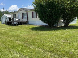 Deanna C.'s turf care service result