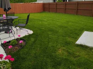Jamie J.'s turf maintenance service result