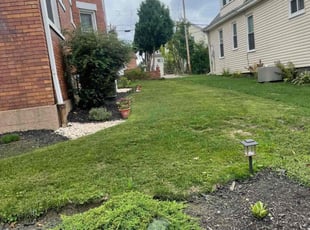 Iman K.'s grass cutting service result