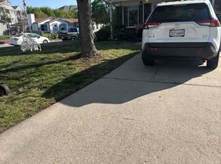 Helene L.'s turf maintenance service result