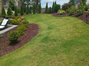 Demeka G.'s Bush Trimming service result