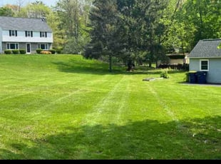 Asia B.'s turf maintenance service result