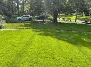 Macy S.'s turf maintenance service result