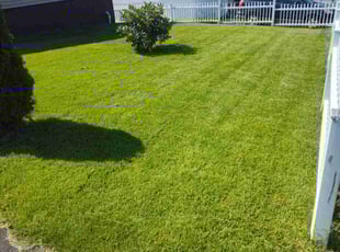 Norma E.'s lawn maintenance service result