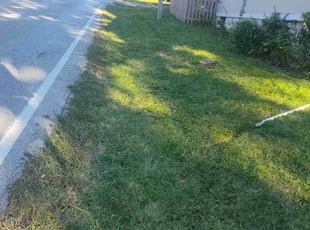 Saifur R.'s lawn maintenance service result