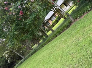 Bonnie H.'s grass cutting service result