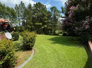 Louise F.'s lawn service service result