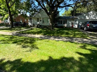 Blake N.'s grass maintenance service result