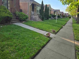 Dustin R.'s lawn care service result