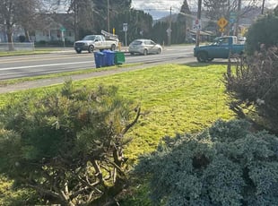 Ryan G.'s turf maintenance service result