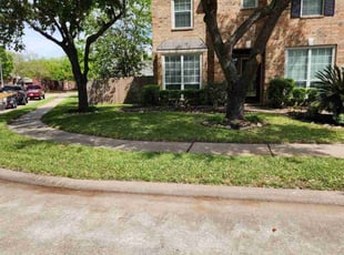 Syed H.'s yard work service result